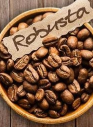 Wholesale Organic Robusta Coffee Bean Suppliers