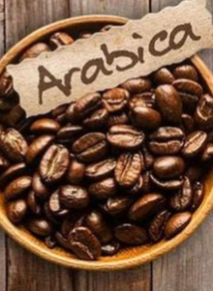 Wholesale Organic Coffee Arabica Bean