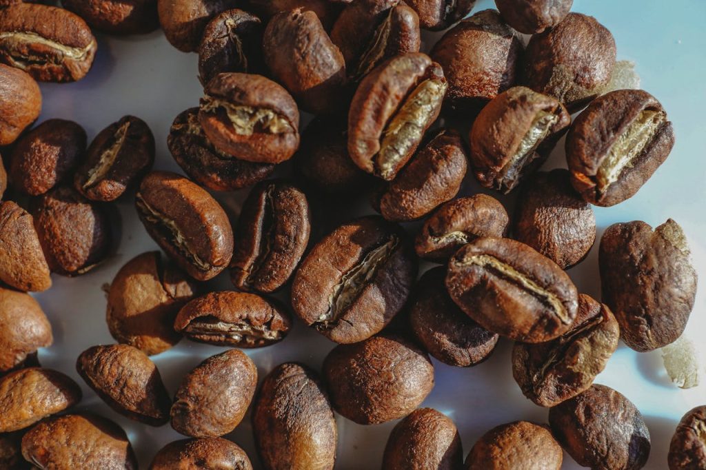 coffee bean